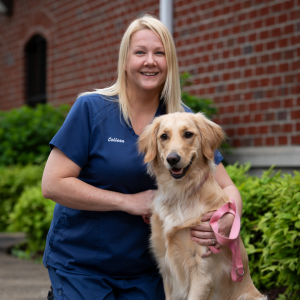 Colleen in Franklin, TN | Battleground Hospital for Animals